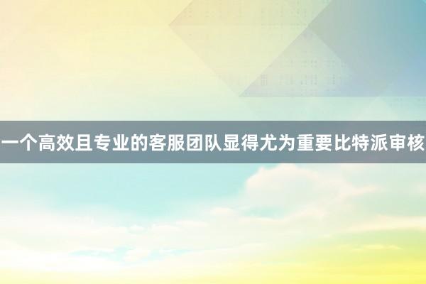 一个高效且专业的客服团队显得尤为重要比特派审核