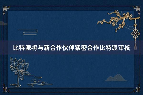 比特派将与新合作伙伴紧密合作比特派审核