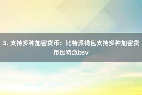 3. 支持多种加密货币：比特派钱包支持多种加密货币比特派bsv