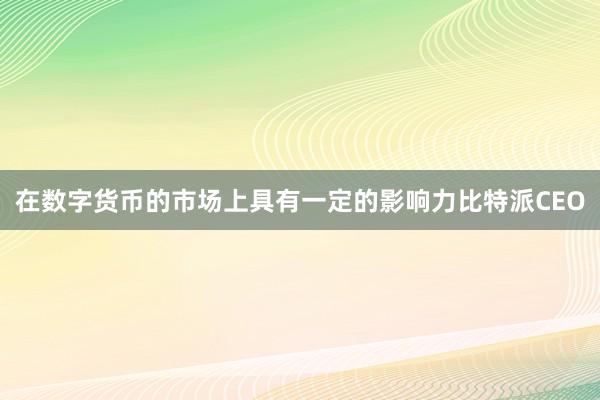 在数字货币的市场上具有一定的影响力比特派CEO