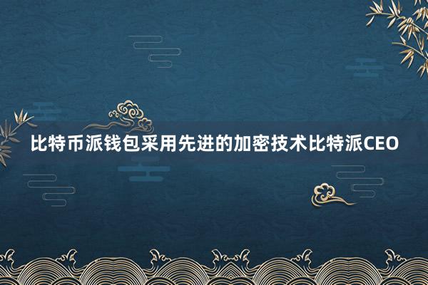 比特币派钱包采用先进的加密技术比特派CEO