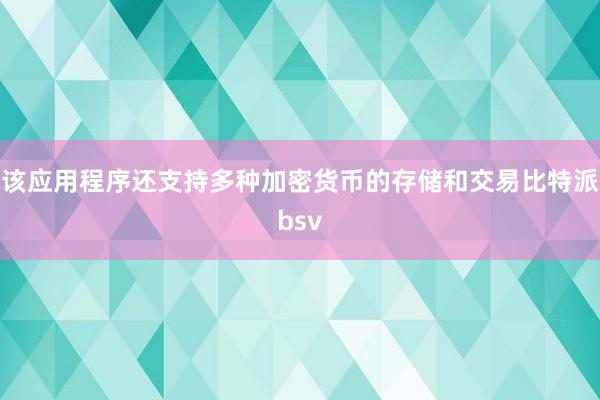 该应用程序还支持多种加密货币的存储和交易比特派bsv