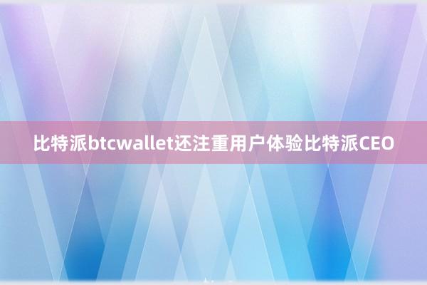 比特派btcwallet还注重用户体验比特派CEO