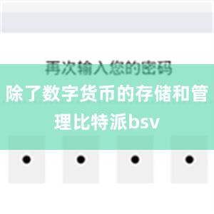 除了数字货币的存储和管理比特派bsv