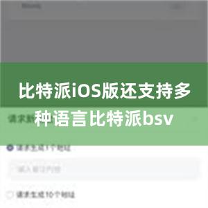 比特派iOS版还支持多种语言比特派bsv