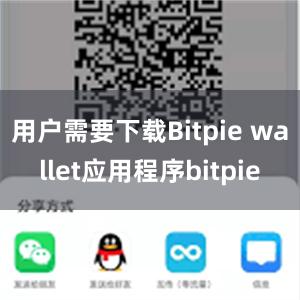 用户需要下载Bitpie wallet应用程序bitpie