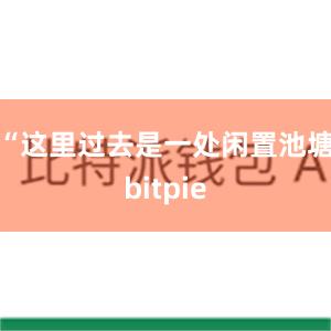 “这里过去是一处闲置池塘bitpie