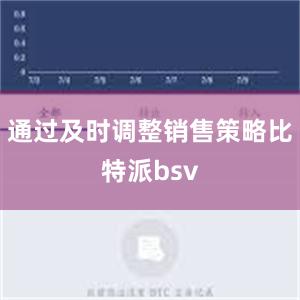 通过及时调整销售策略比特派bsv