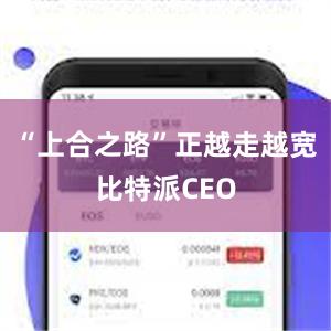 “上合之路”正越走越宽比特派CEO