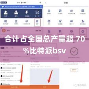 合计占全国总产量超 70%比特派bsv