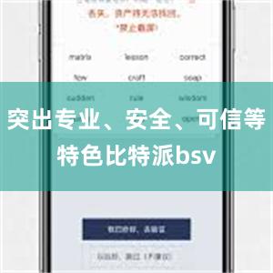 突出专业、安全、可信等特色比特派bsv