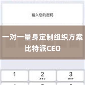 一对一量身定制组织方案比特派CEO